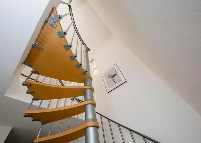 497/d, F New Translation