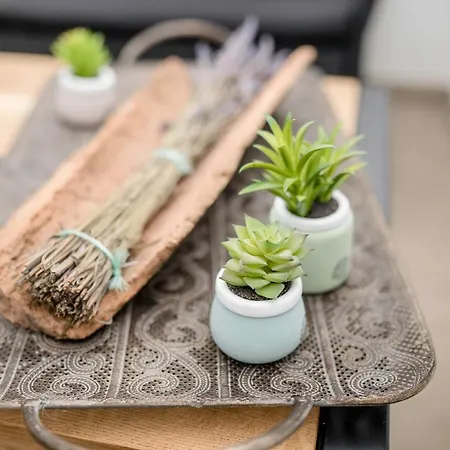 497/d, F Lejlighed Palit